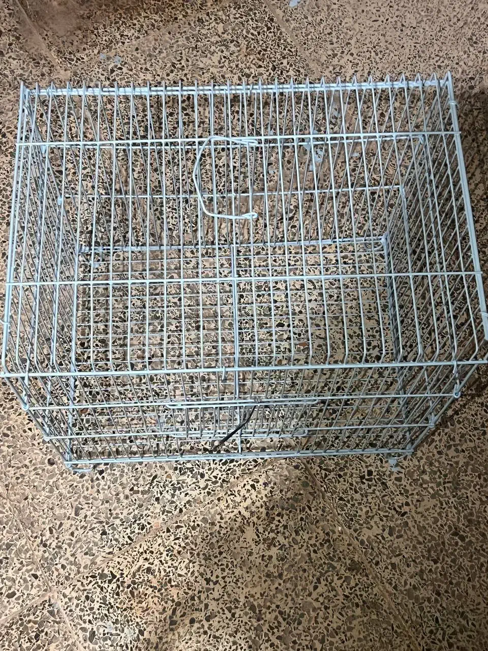 قفس|لوازم جانبی حیوانات|قشم, |دیوار