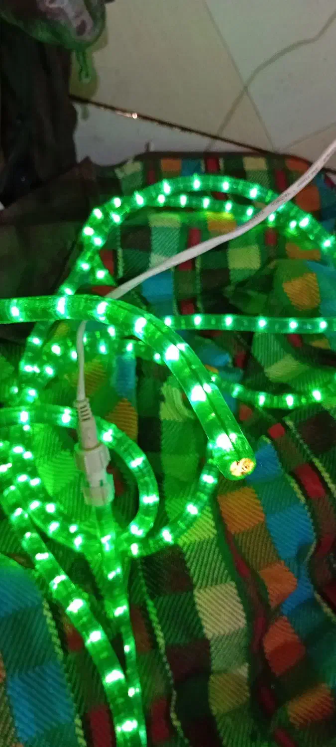 ریسه شلنگی|ریسه و چراغ تزئینی|اهواز, نبوت|دیوار