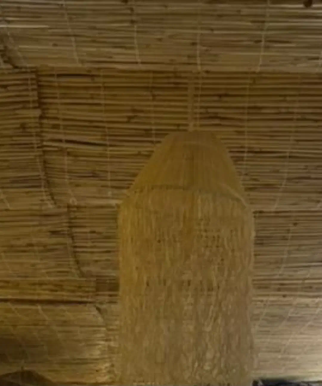 لوستر رافیاوچیپسی|لوستر و چراغ آویز|یزد, |دیوار