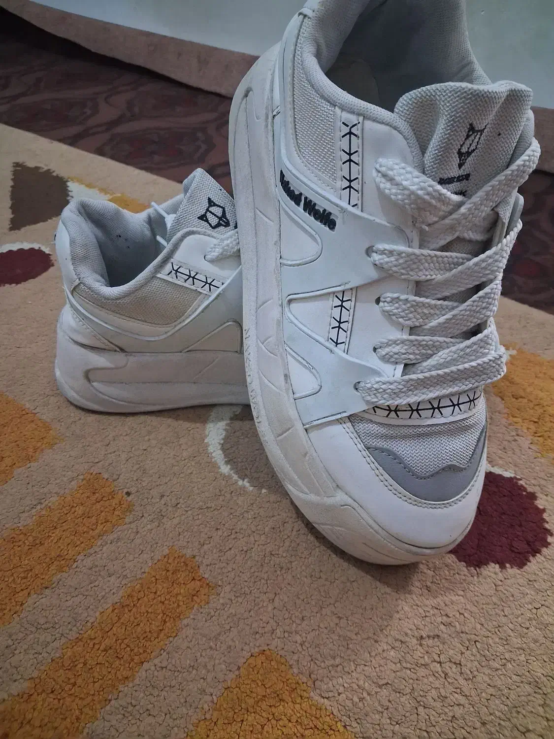 کفش اسپرت|کیف، کفش، کمربند|مشهد, سیلو|دیوار