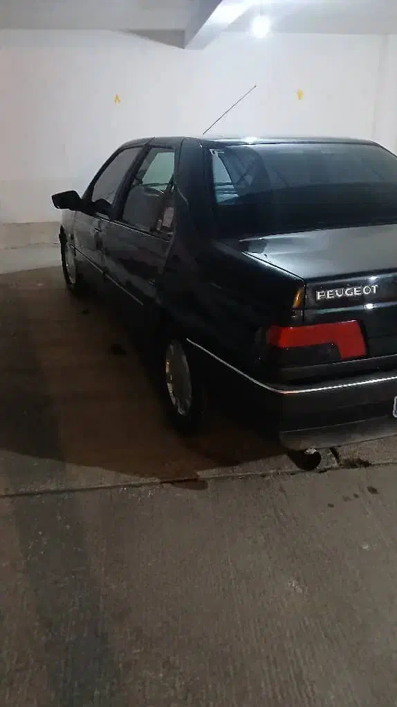 پژو 405|خودرو سواری و وانت|پرند, فاز ۴|دیوار