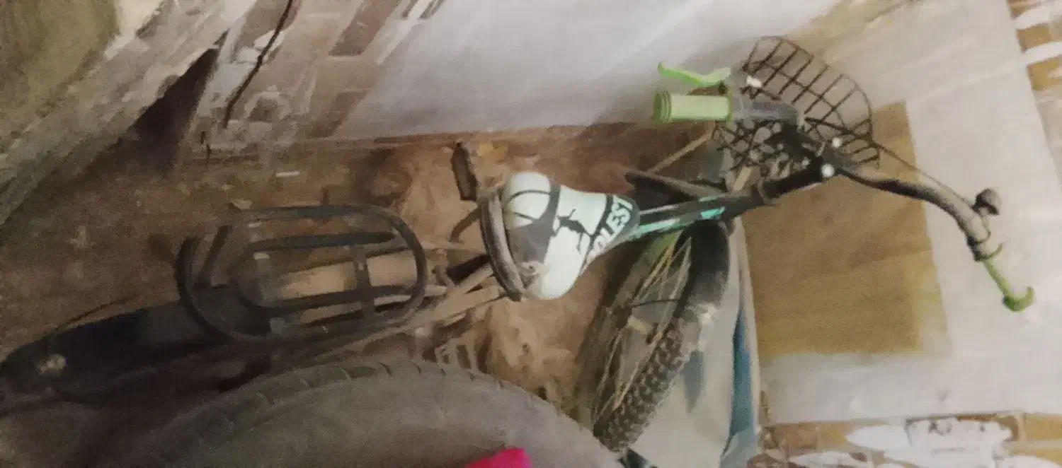 دوچرخه ۲۰و۲۴|دوچرخه، اسکیت، اسکوتر|زهک, |دیوار