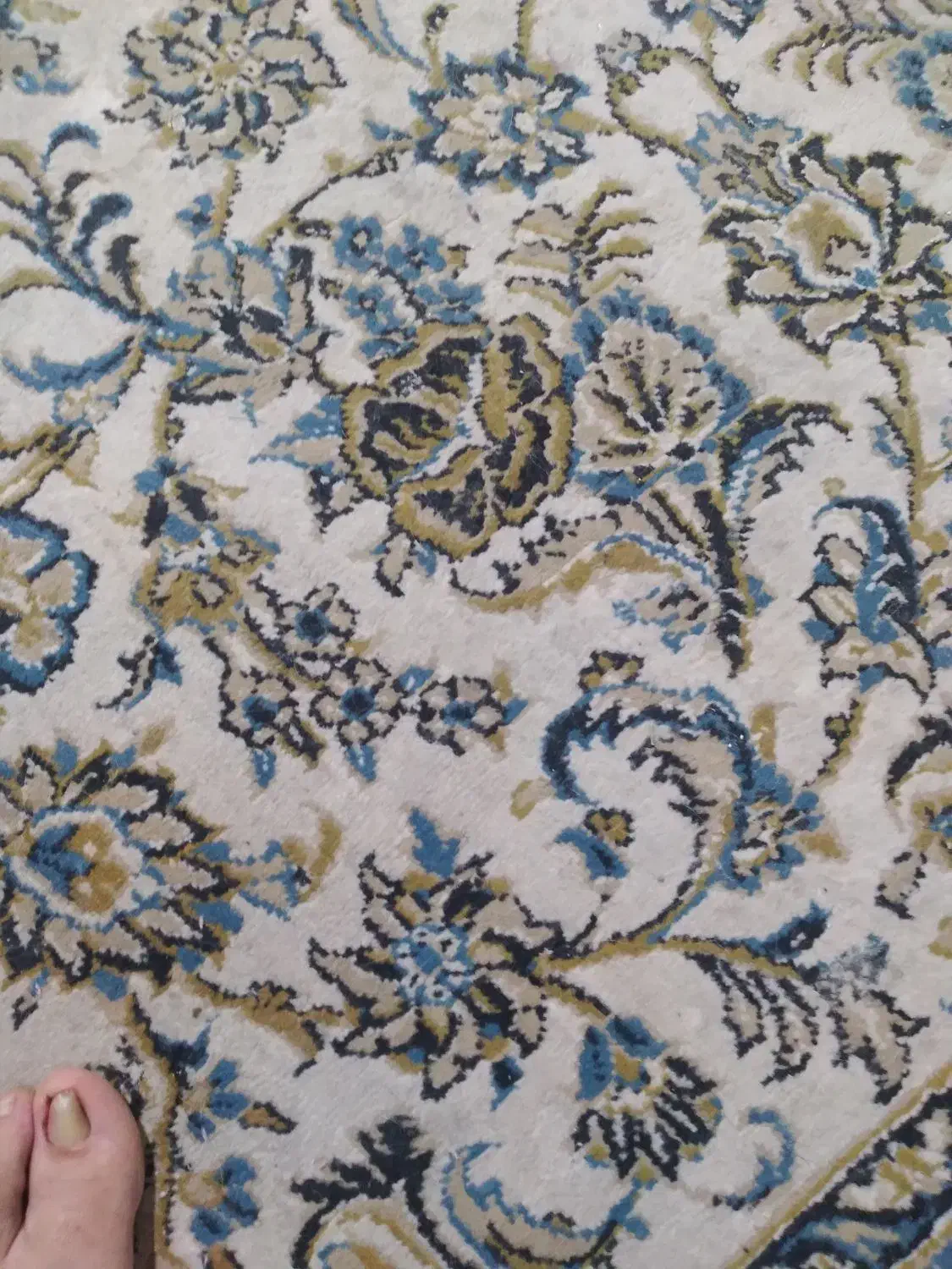 دوقطعه فرش کاشان بیدگل کاشان ۷۰۰شانه|فرش|مشهد, فلسطین|دیوار