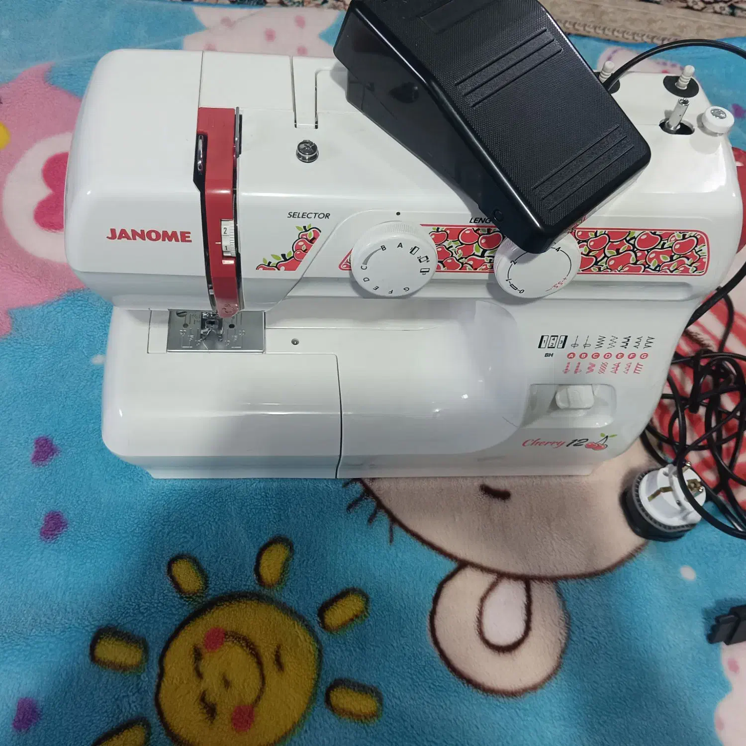 ژانومه۱۲|چرخ خیاطی و ریسندگی|بم, |دیوار