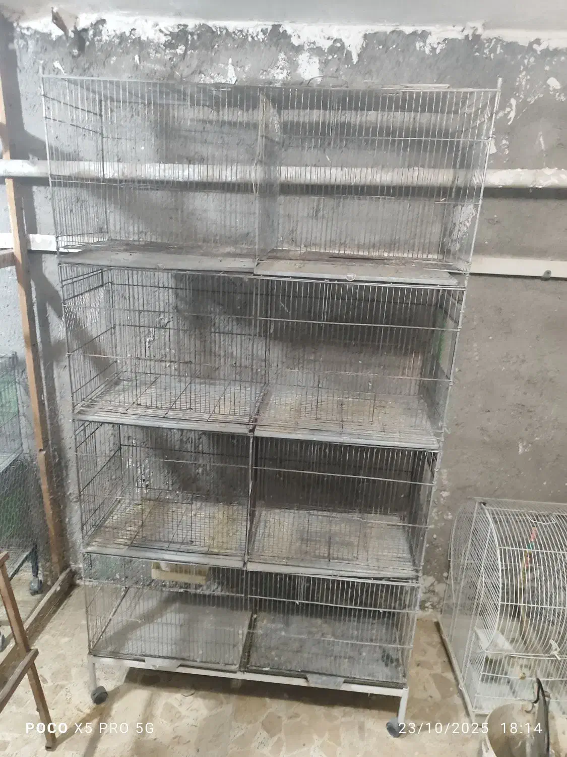 قفس پرون|لوازم جانبی حیوانات|تنکابن, |دیوار