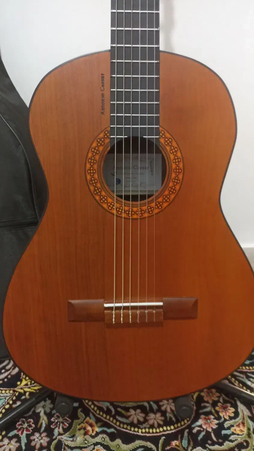 گیتار خوش صدا در حد نو|گیتار، بیس، امپلیفایر|ایلام, |دیوار