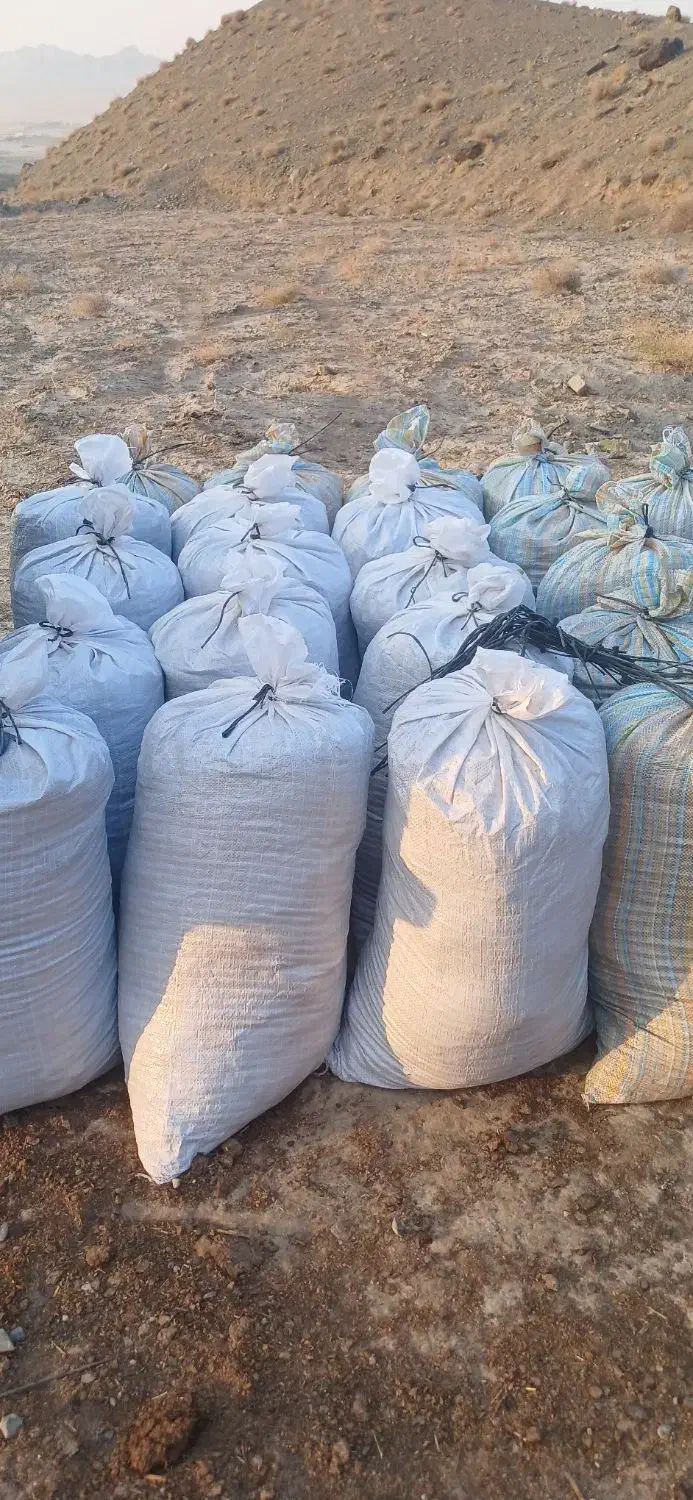 کود گاو|گل و گیاه طبیعی|بیرجند, |دیوار