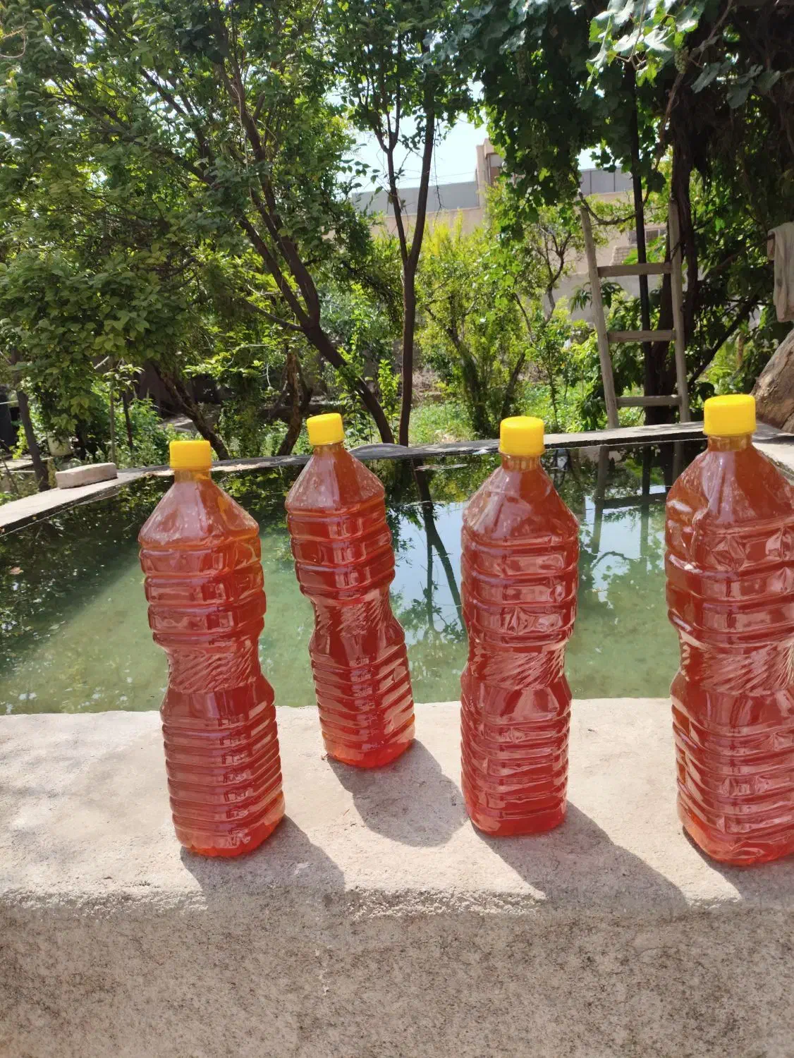 فروش عمده سرکه سیب طبیعی|خوردنی و آشامیدنی|مهریز, |دیوار