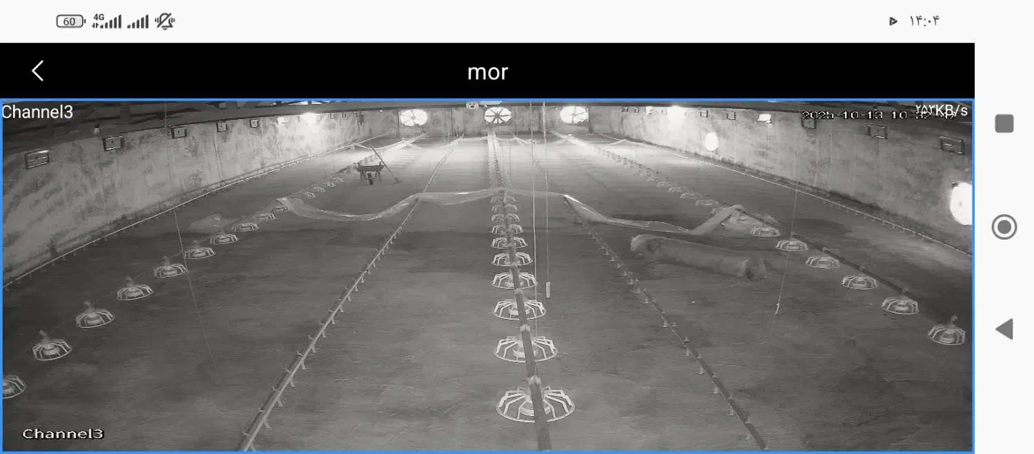 فروشی|فروش دفتر صنعتی، کشاورزی، تجاری|راور, |دیوار