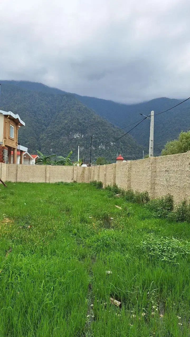 زمین نوشهر|فروش زمین و ملک کلنگی|نوشهر, |دیوار