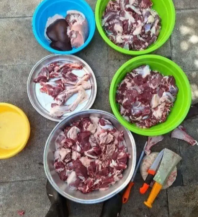 گوسفند زنده پرواری نصف‌ونصف گوشت میده|حیوانات مزرعه|قم, الغدیر|دیوار