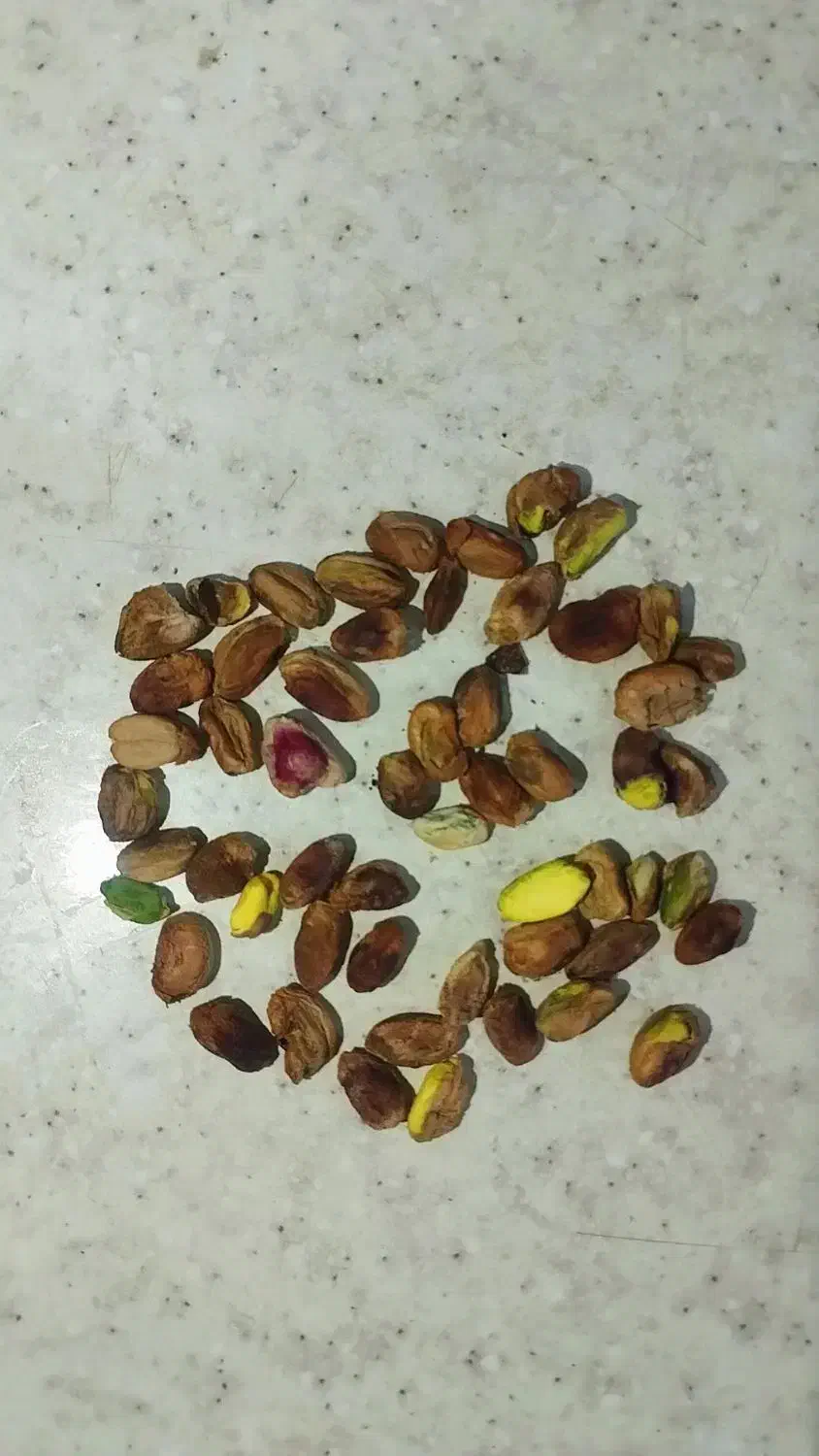 پوک|خوردنی و آشامیدنی|فردوس (کرمان), |دیوار