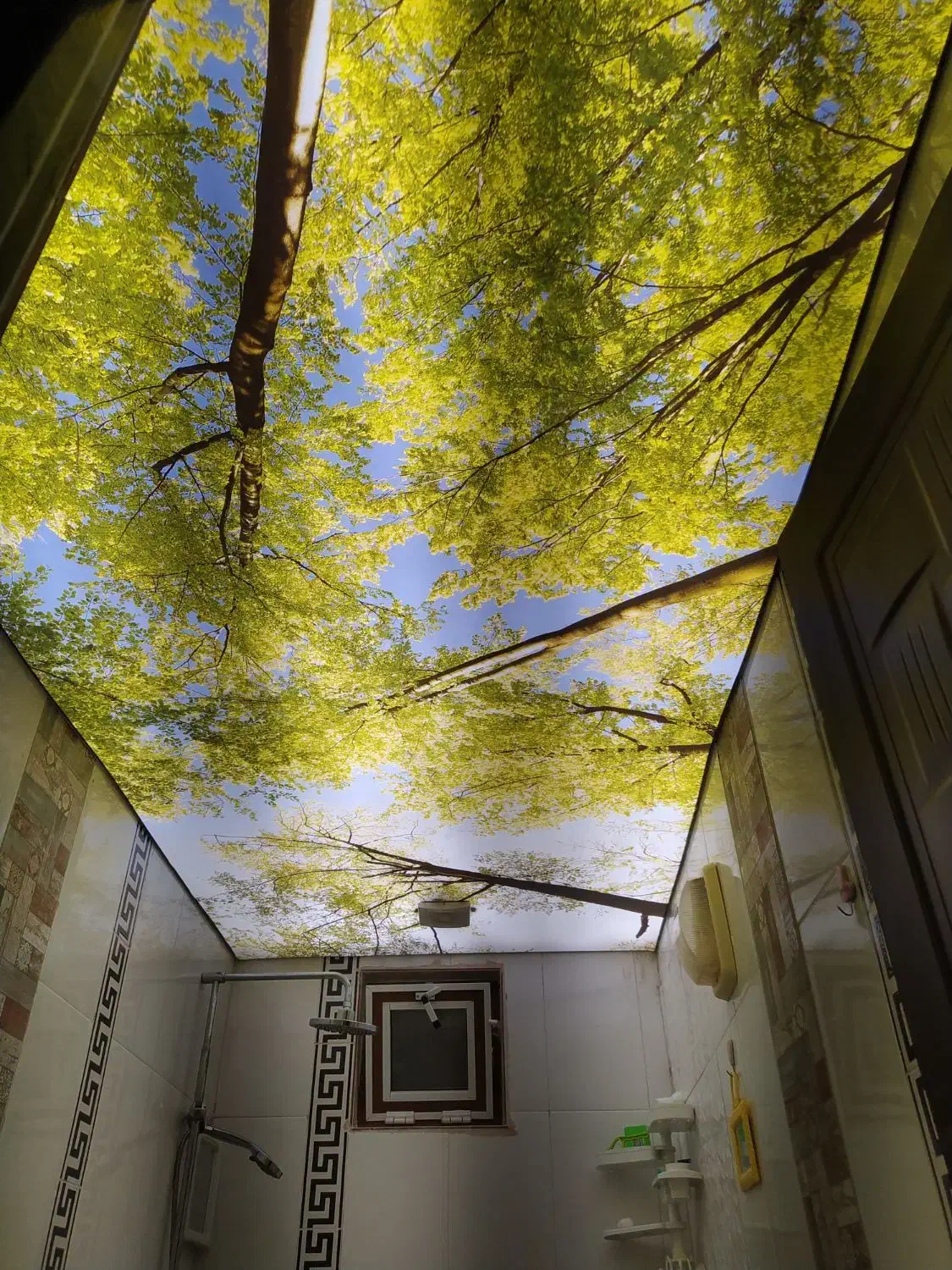 مجری تخصصی سقف های کشسان با ۱۲ سال گارانتی مکتوب|خدمات پیشه و مهارت|رشت, گلسار|دیوار