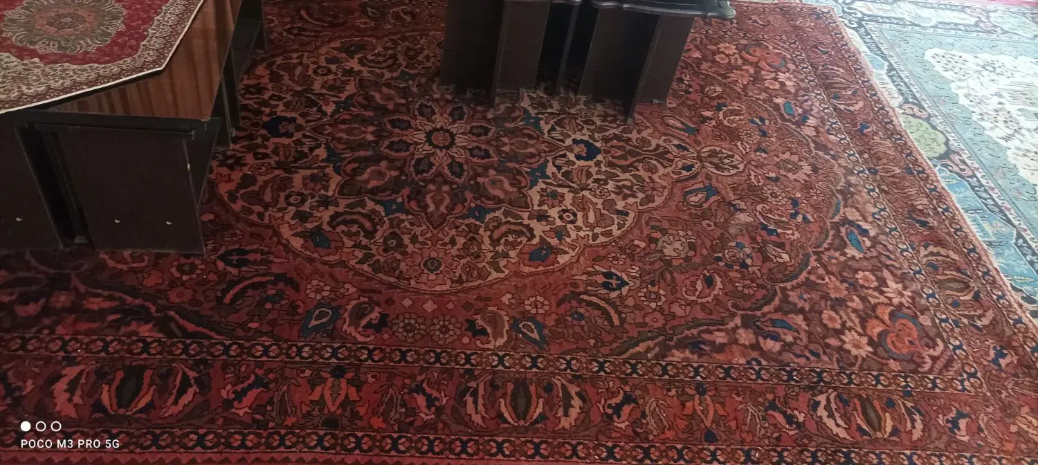 دوتا فرش قدیمی دست باف|فرش|نجف‌آباد, گلدشت|دیوار