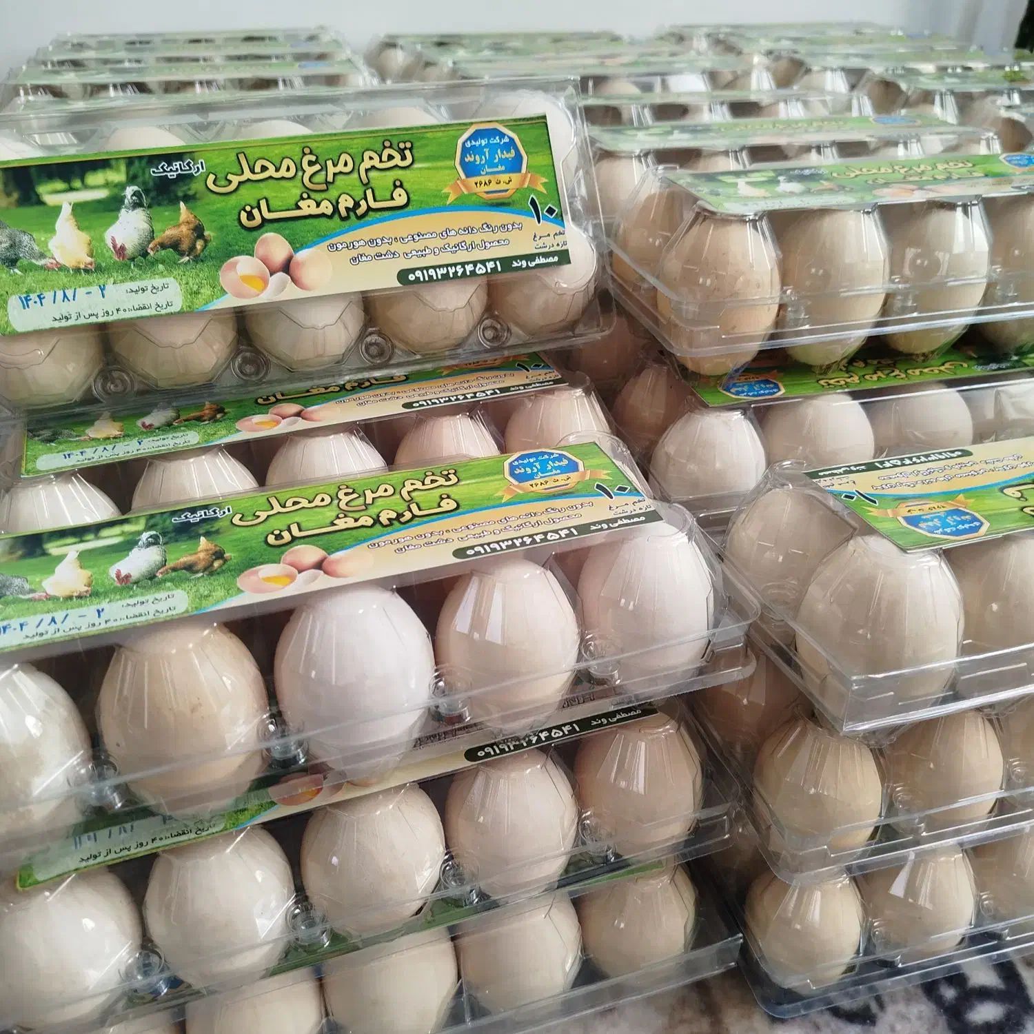 تخم مرغ محلی|خوردنی و آشامیدنی|پارسآباد, |دیوار