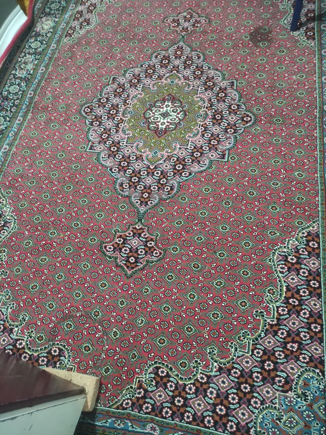 فرش دست دوم|فرش|مشگین شهر, |دیوار