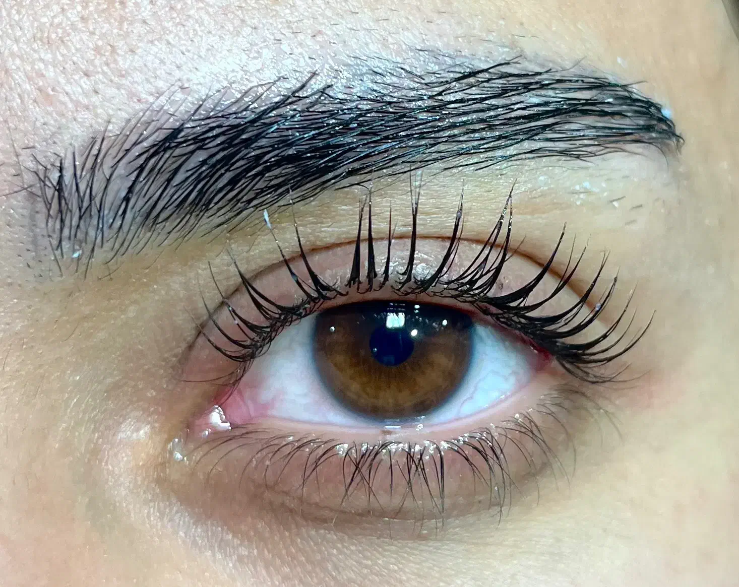 آموزش اکستنشن مژه فقط ۱ و ۵۰۰|خدمات آموزشی|زاهدان, |دیوار