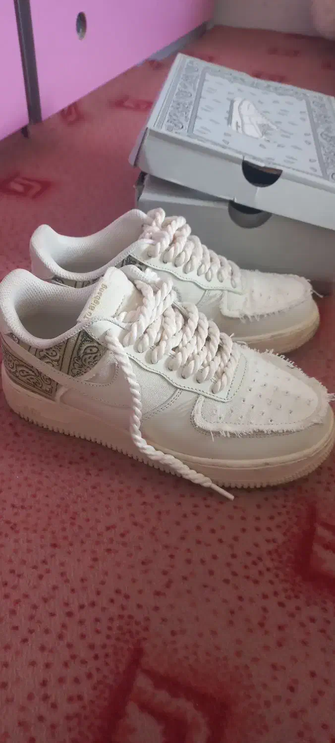 کفش|کیف، کفش، کمربند|فسا, |دیوار