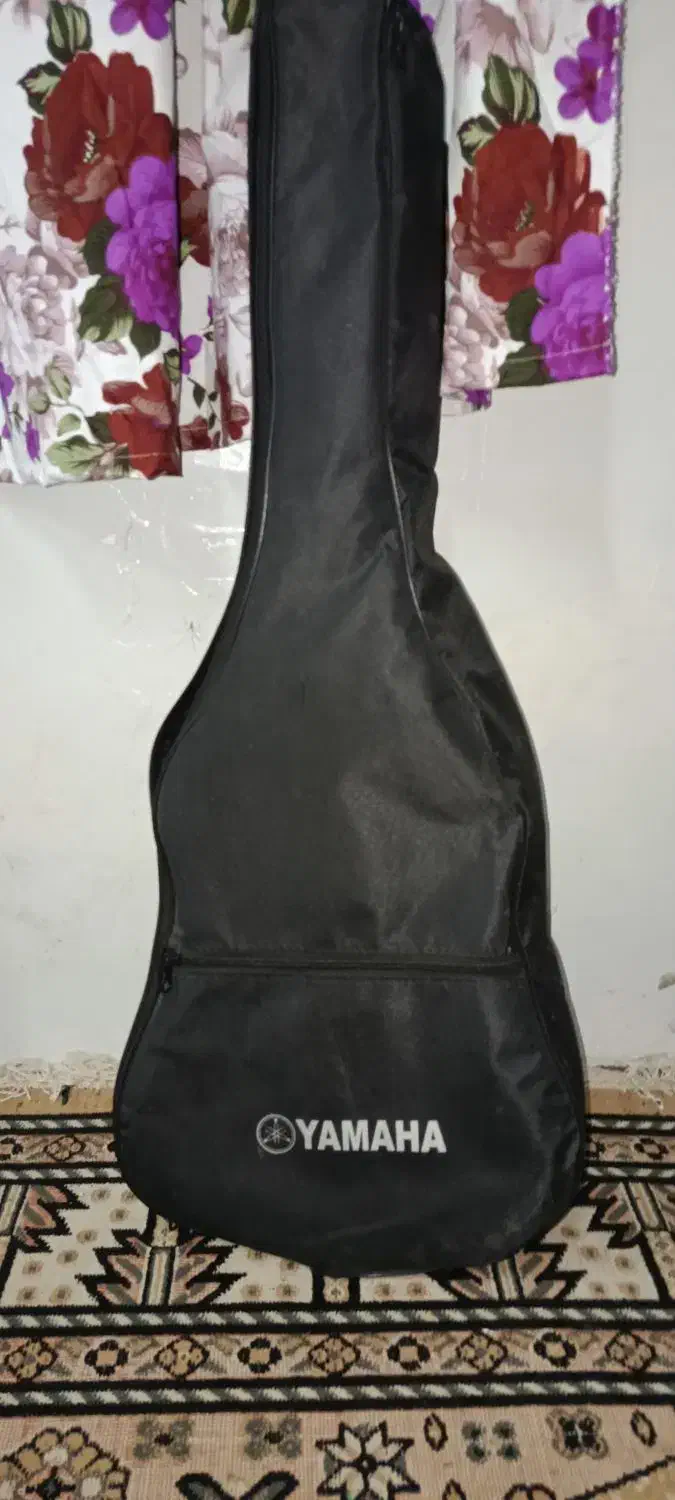 گیتار|گیتار، بیس، امپلیفایر|بندر انزلی, بی بی حوریه|دیوار