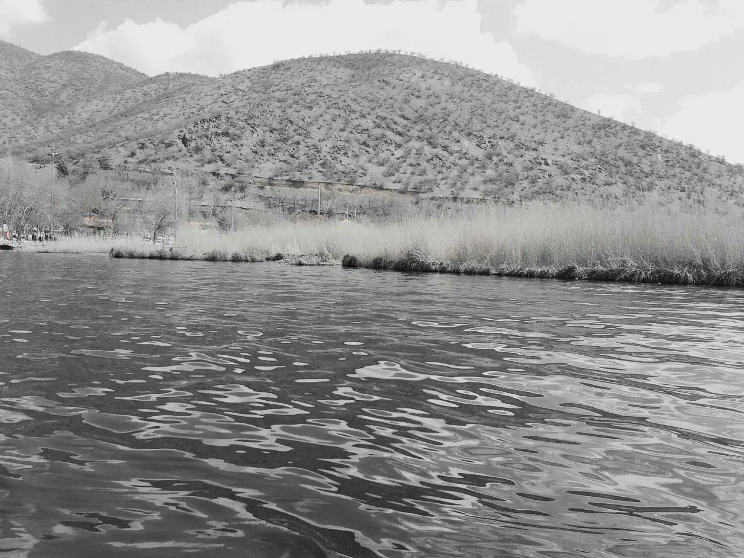 نیازمندگوشی اضافه|فعالیت داوطلبانه|شیراز, باغشهر قصر سبز|دیوار