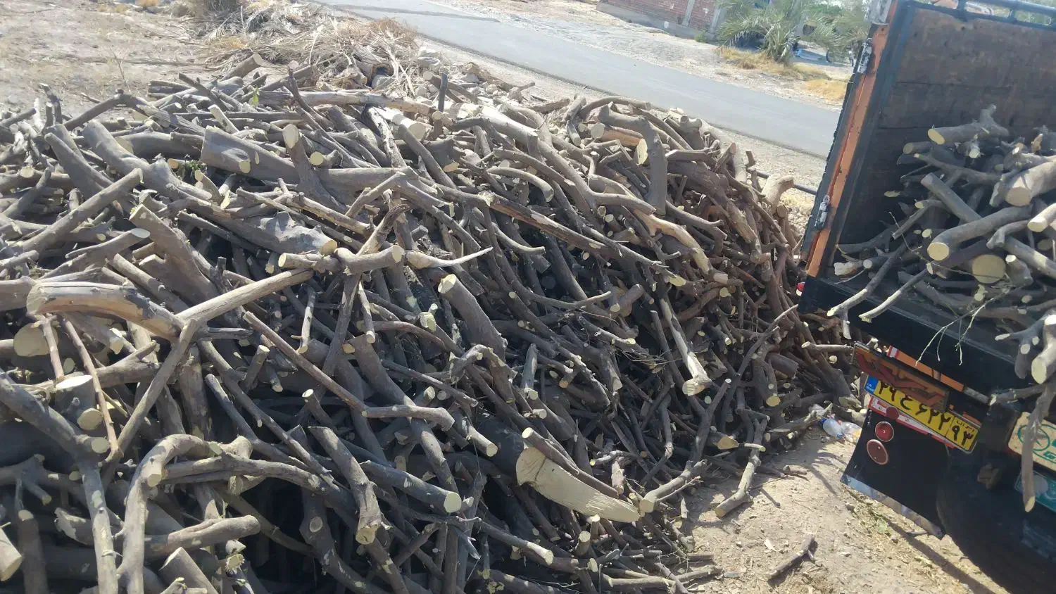 خرید چوب|خدمات باغبانی و درختکاری|عنبرآباد, |دیوار