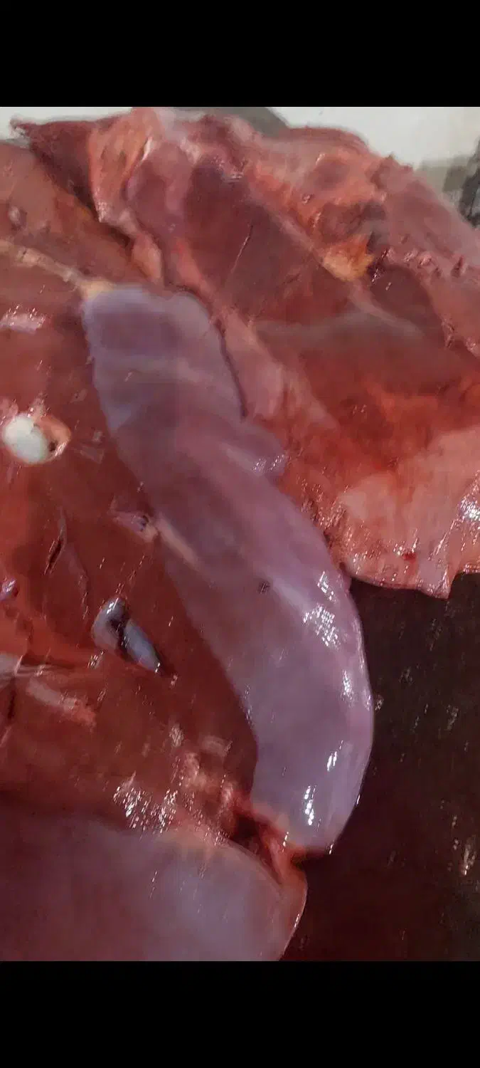 جگر گوساله|خوردنی و آشامیدنی|کرج, مصباح|دیوار