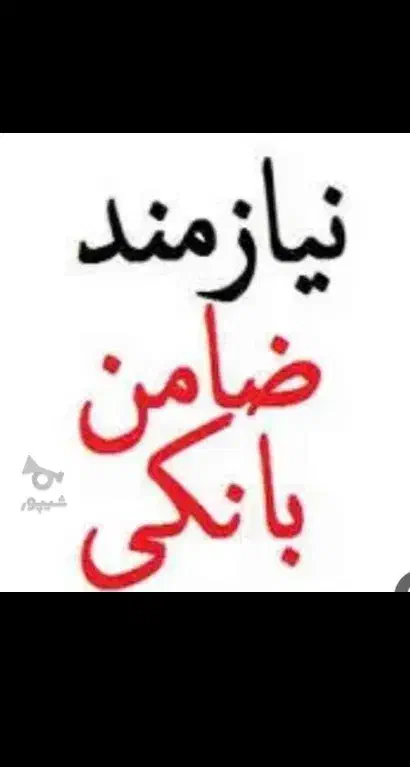 ضامن نیاز دارم برای وام امتیازی بانک مهر|فعالیت داوطلبانه|زابل, |دیوار