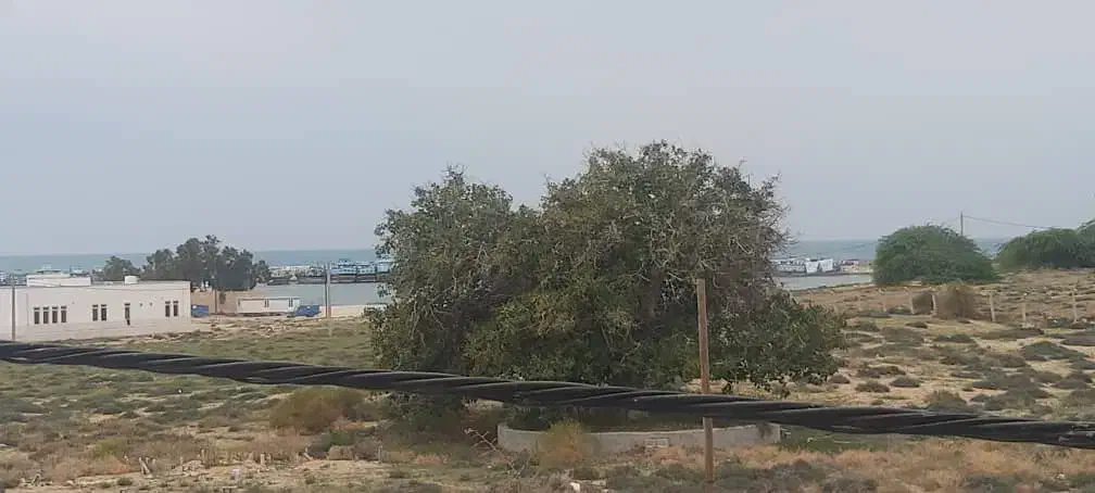 سوییت اجاره ای نزدیک ساحل مکسر و گردنه عشاق|اجارهٔ کوتاهمدت آپارتمان و سوئیت|کوشکنار, |دیوار