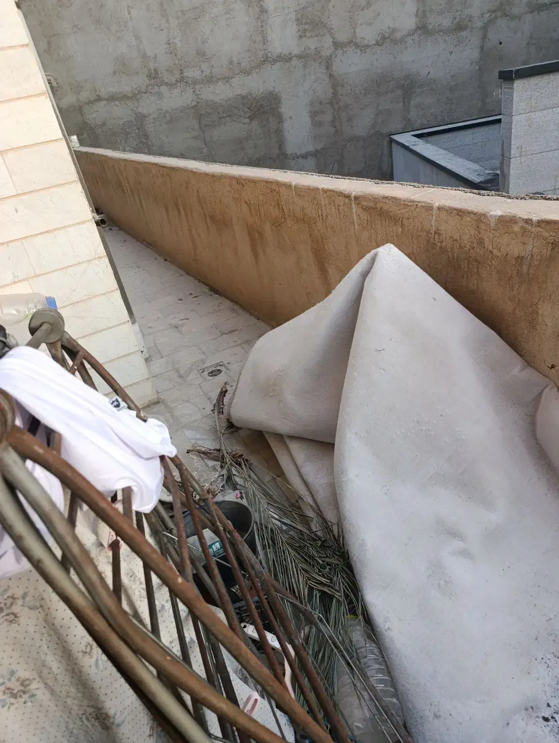 موکت|موکت|ابهر, |دیوار