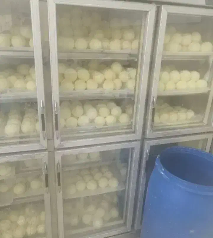 کره گاوی گناباد خاطرجم|خوردنی و آشامیدنی|قائن, |دیوار