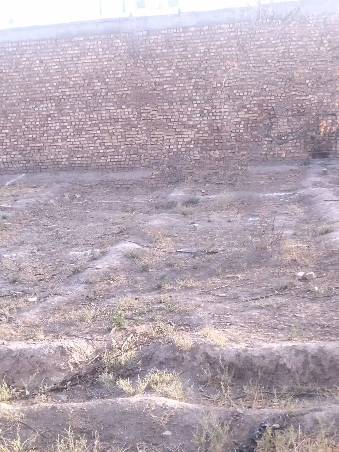 زمین فروشی|فروش زمین و ملک کلنگی|نیشابور, شهید بهشتی|دیوار