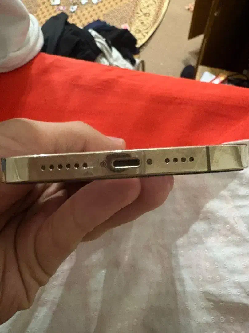 ایفون ۱۲پرومکس|موبایل|شیراز, حومه شیراز|دیوار