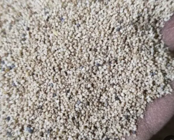 morad|گل و گیاه طبیعی|نورآباد, |دیوار