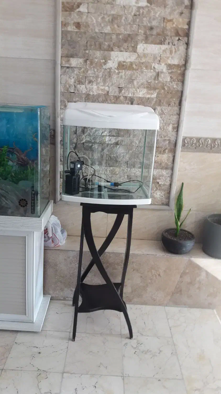 آکواریوم|ماهی|پردیس, فاز ۴|دیوار