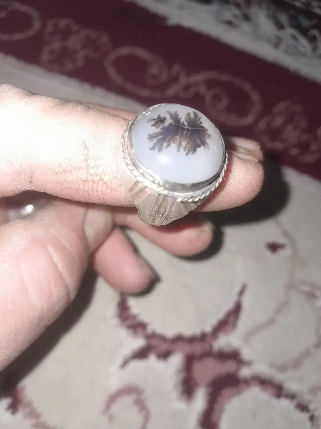 شجر|جواهرات|تربت‌حیدریه, باغ ملی|دیوار