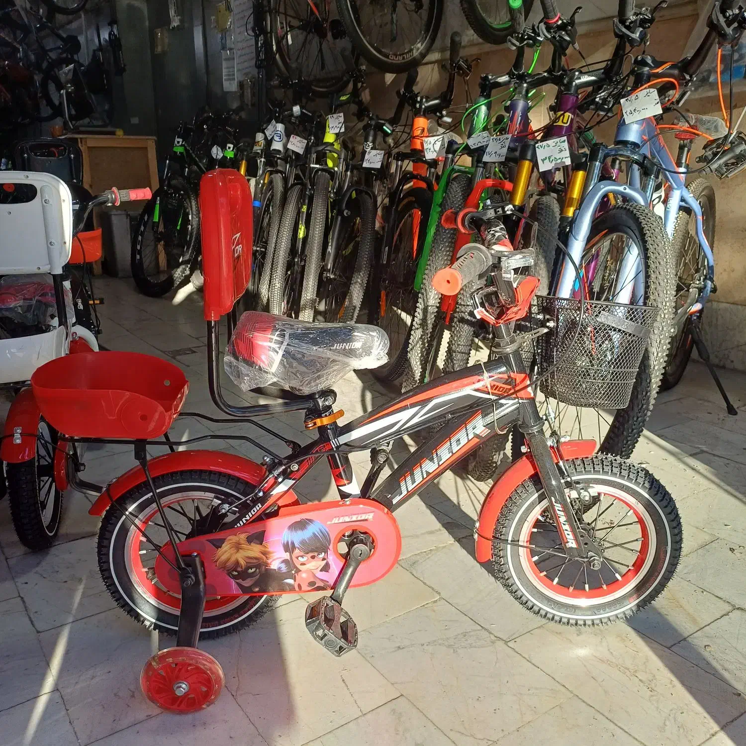 فروش ویژه پاییز دوچرخه بچگانه ۱۲ ماه بدون پیش...|دوچرخه، اسکیت، اسکوتر|کرمانشاه, |دیوار