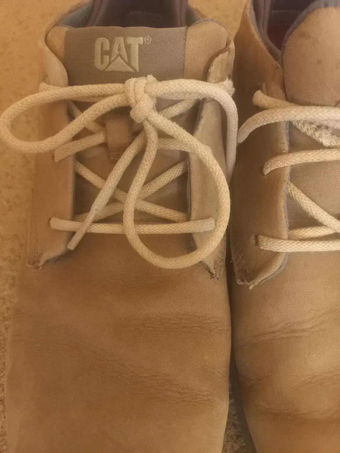 کفش چرمCAT|کیف، کفش، کمربند|شوشتر, |دیوار