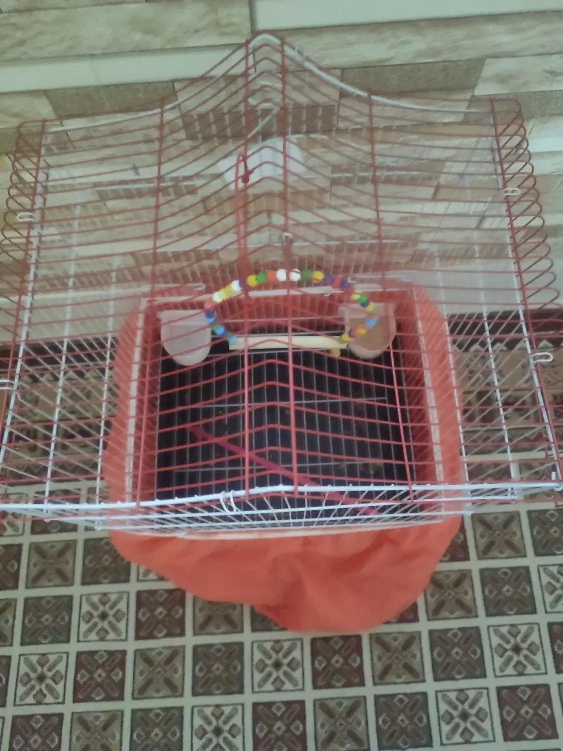 فروش قفس طوطی و عروس هلندی|لوازم جانبی حیوانات|ملایر, |دیوار