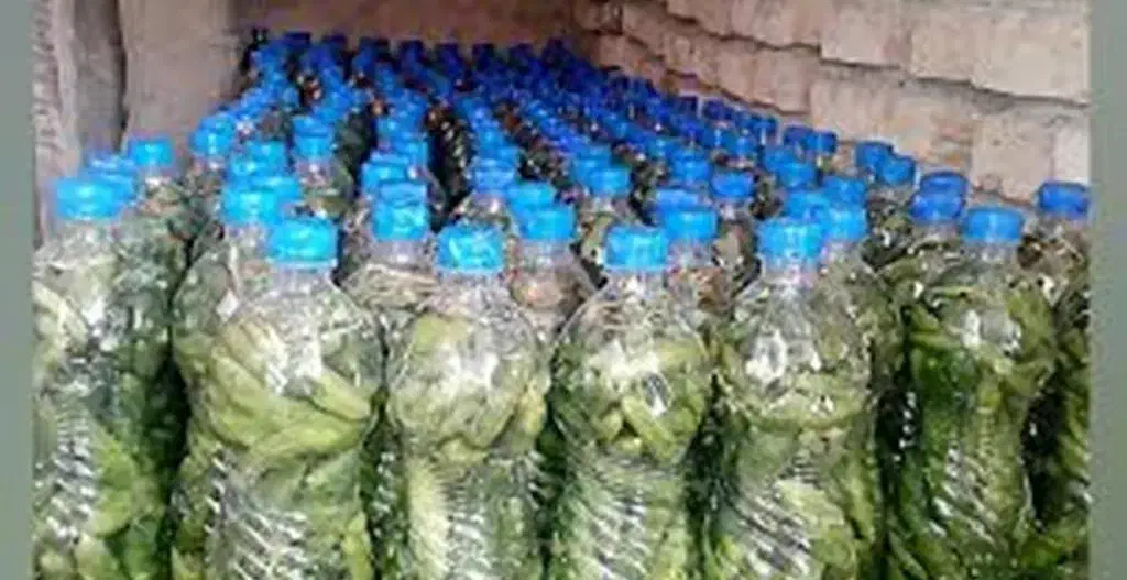 فروش خیارشور بطری|خوردنی و آشامیدنی|شیروان (خراسان), |دیوار