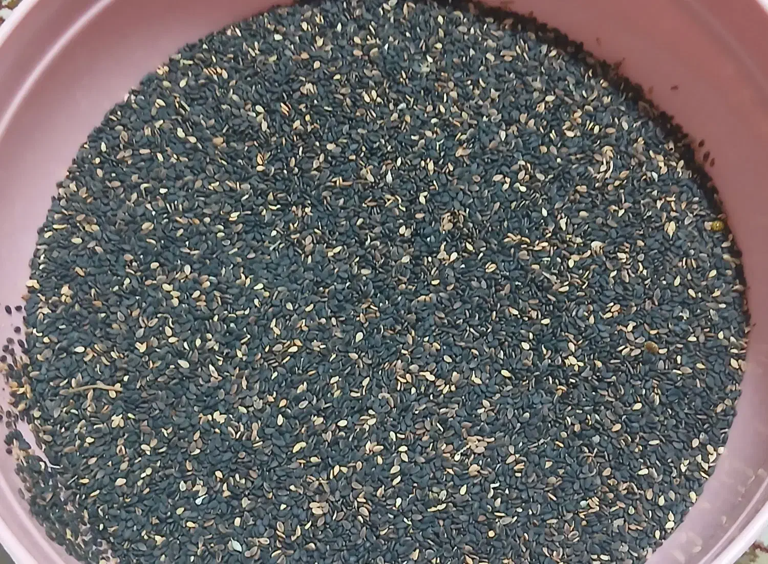 فروش رشته و بلغور و کنجد سیاه|خوردنی و آشامیدنی|پلدشت, |دیوار