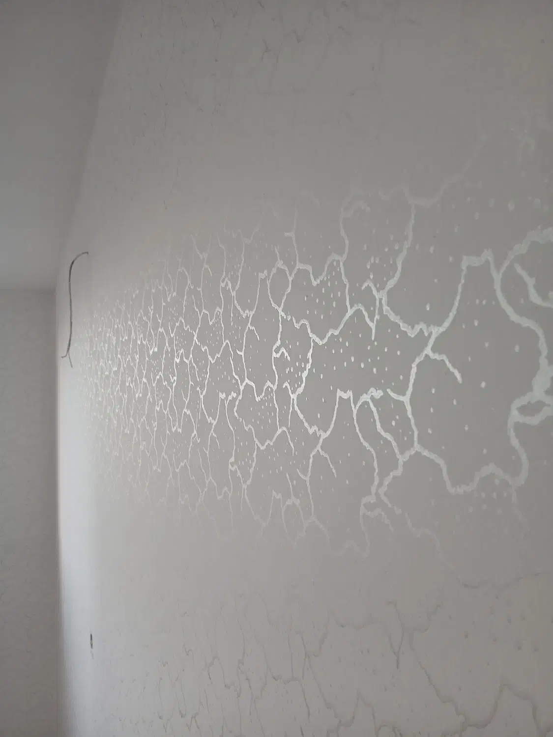 نقاشی طرح کاغذدیواری بارنگ اکلیلی|خدمات پیشه و مهارت|مشکیندشت, |دیوار