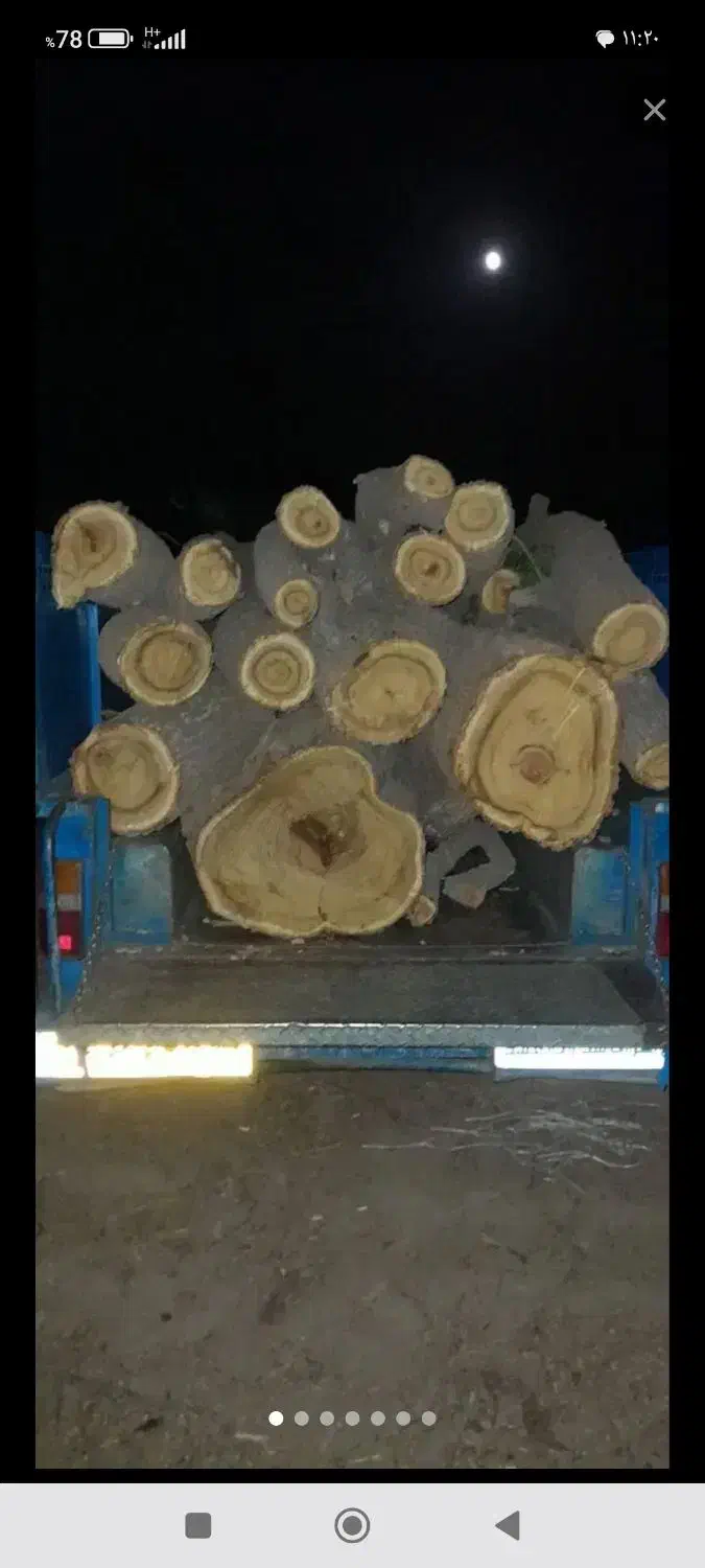 خریدار انواع چوب|خدمات باغبانی و درختکاری|شیروان (لرستان), |دیوار