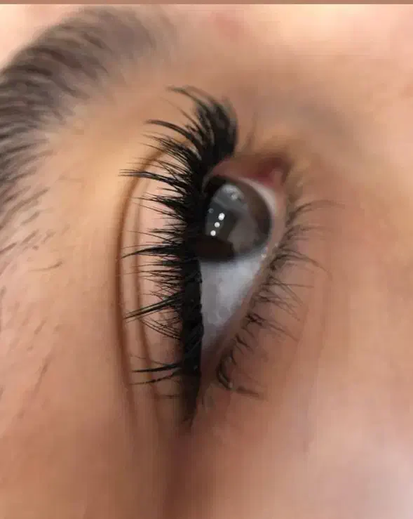 مدل مژه رایگان|خدمات آرایشگری و زیبایی|تبریز, |دیوار