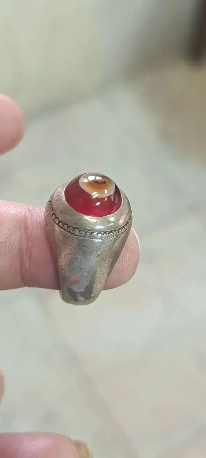 باباقوری سرخ تک چشم|جواهرات|بندر ماهشهر, |دیوار