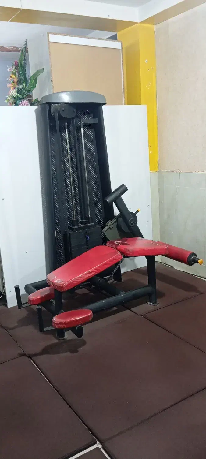 پرس پا ، جلو پا ،پشت پا دستگاه|تجهیزات ورزشی|کلاله, |دیوار