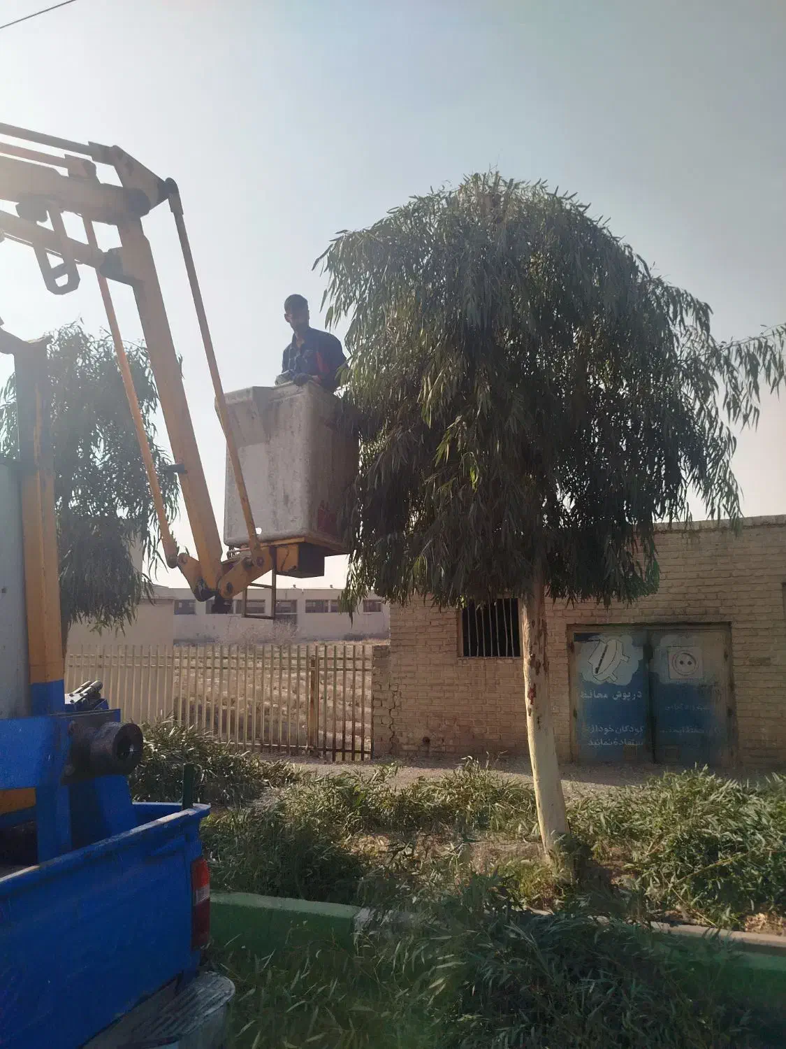 هرس.باغبانی|خدمات باغبانی و درختکاری|قم, بلوار امین و ساحلی|دیوار