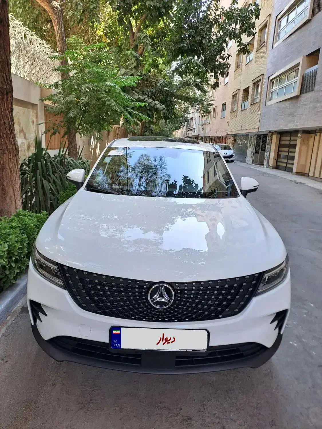 دیگنیتی پرستیژ داخل مارون|خودرو سواری و وانت|اصفهان, رزمندگان|دیوار