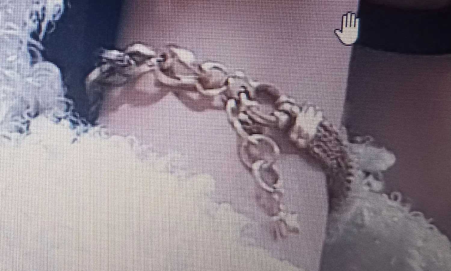 دستبندهای گمشده|جواهرات|اردبیل, |دیوار