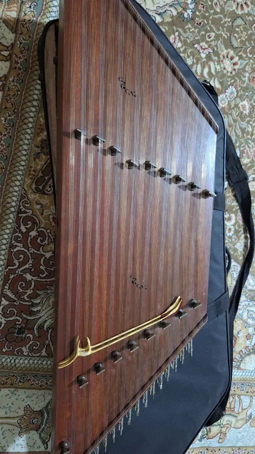 سنتور شیخ شعاعی|سازهای سنتی|کرمان, |دیوار