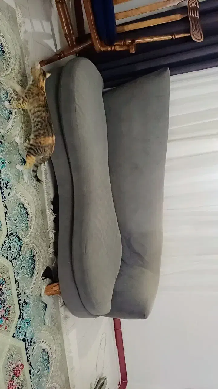 مبل تکی سه نفره|مبلمان اداری|رضوانشهر, |دیوار